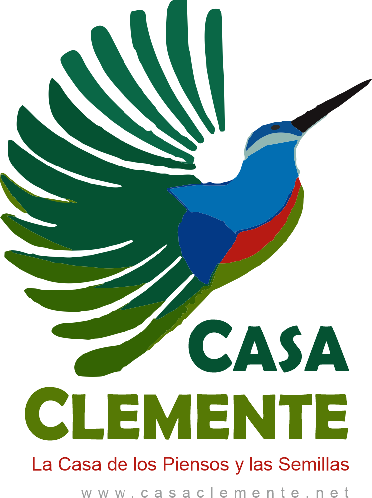 Casa Clemente